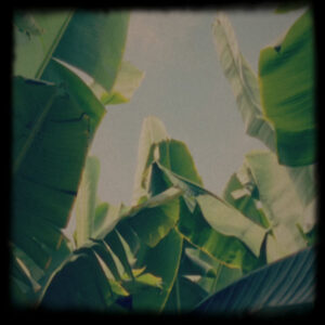 Lagoss – Platano Tapes (2024 Tour Tape)