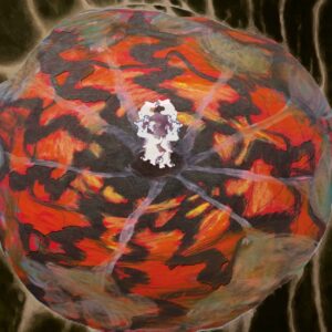 The Spectacle of Light Abductions 2  - Music for the Paintings of Vedran Kopljar