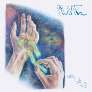 Joa Joys - Alivie